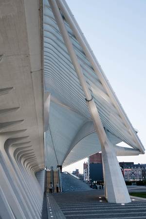 Eine gewohnt kühne und beeindruckende Konstruktion hat der spanische Architekt Santiago Calatrava mit dem Lütticher TGV-Bahnhof abgeliefert.